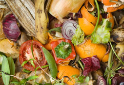 Tips To Identify Rotten Vegetable